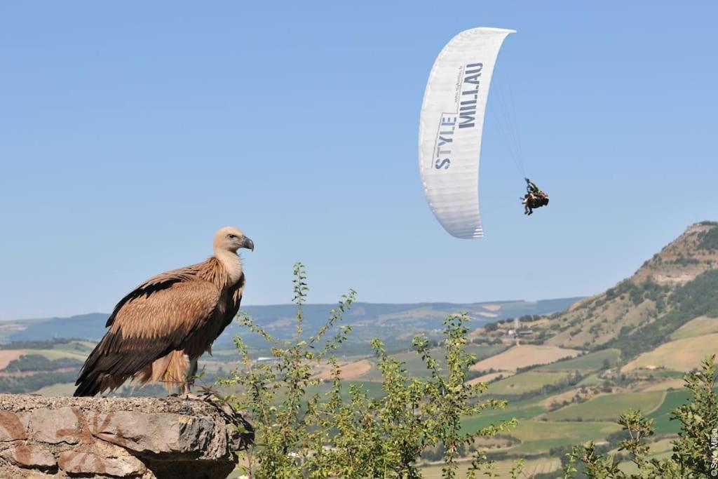 Confort, Wifi Et Garage Millau Esterno foto